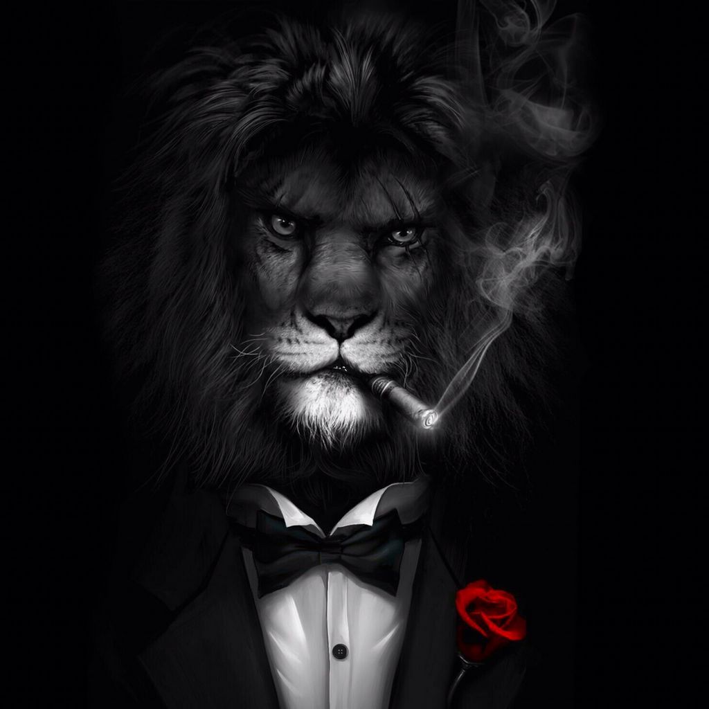 Доступ в казино Lev в 2026 году